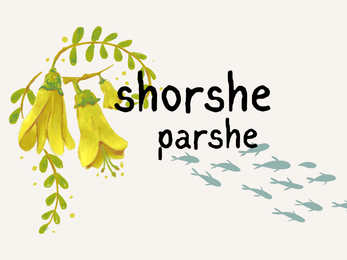 Shorshe parshe